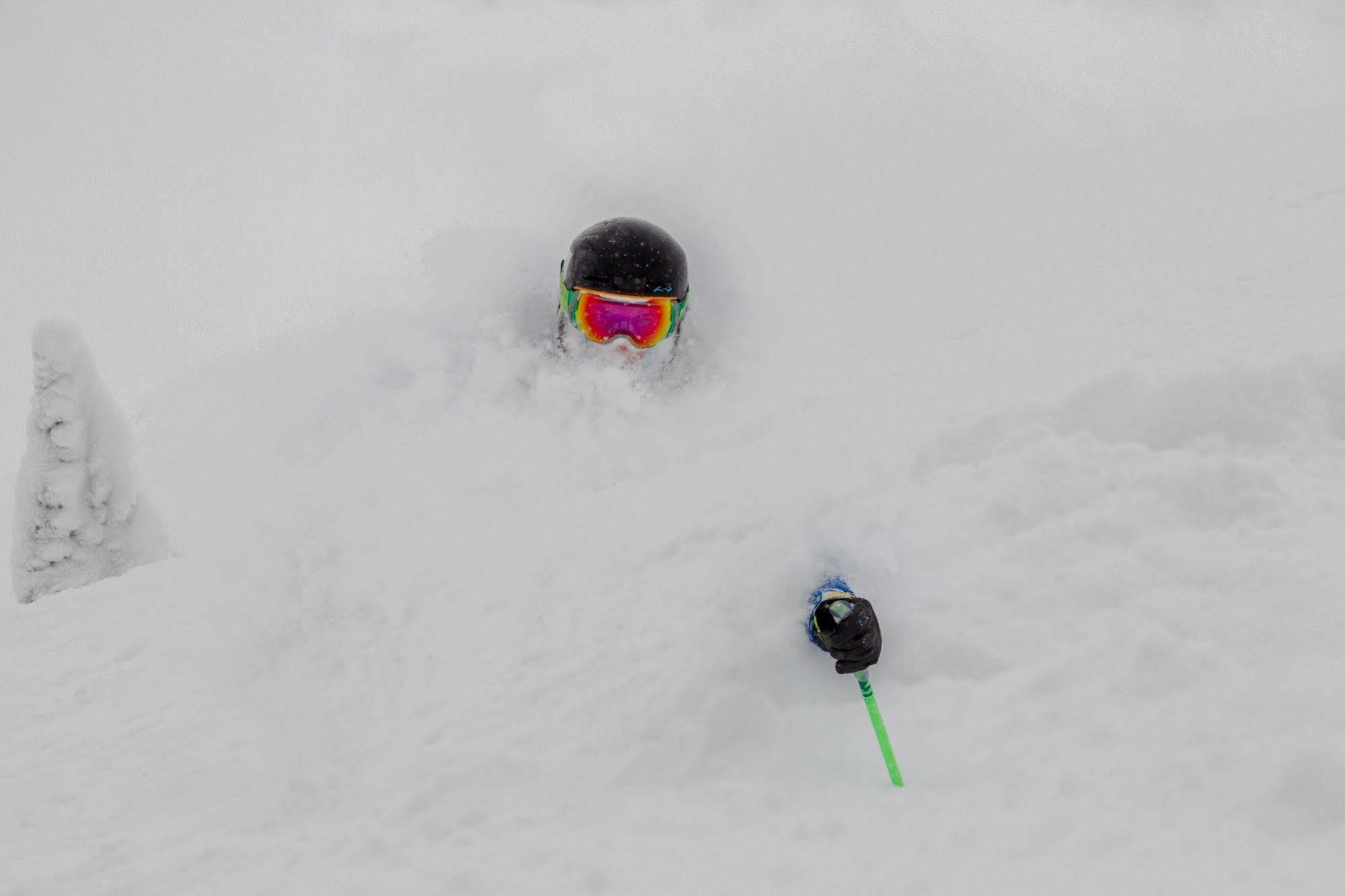 Teewinot Lodge By Grand Targhee Resort アルタ エクステリア 写真