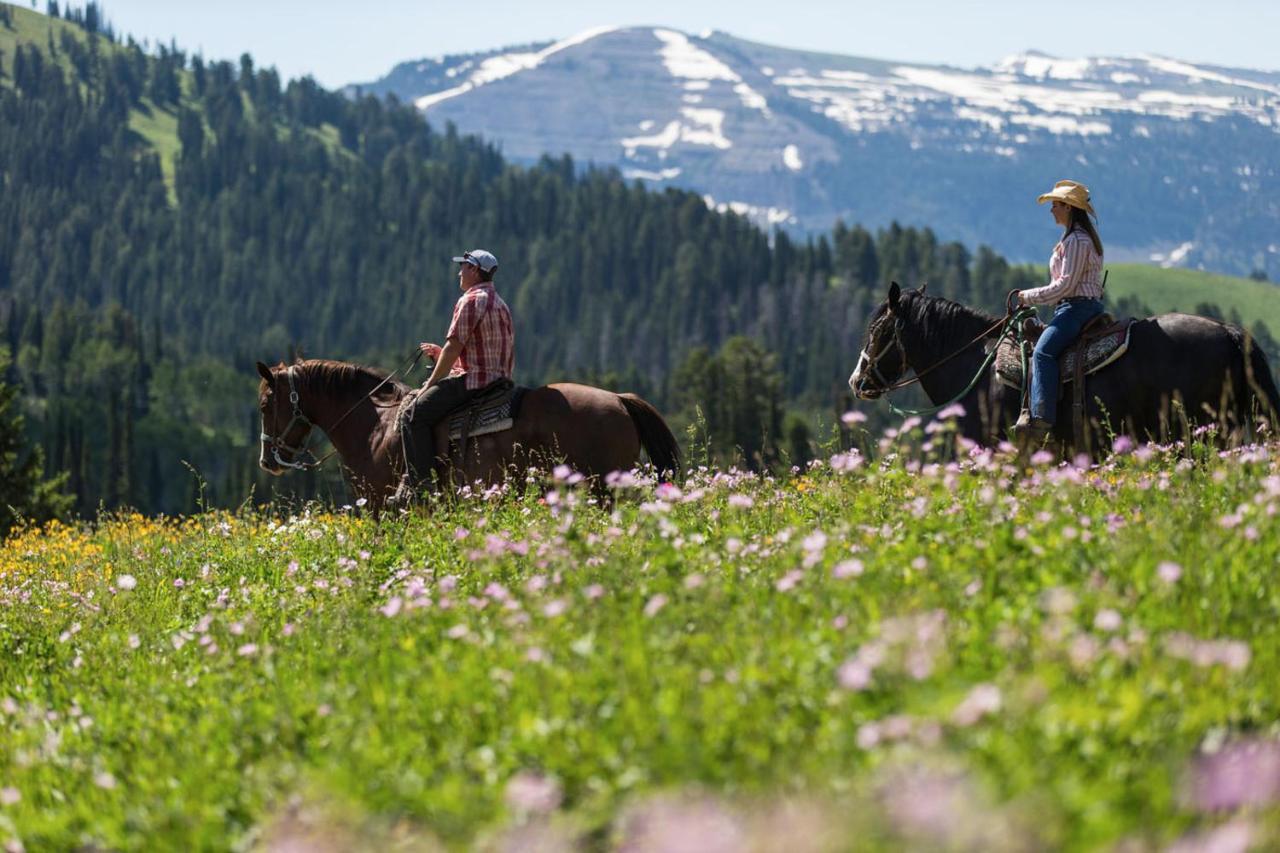Teewinot Lodge By Grand Targhee Resort アルタ エクステリア 写真
